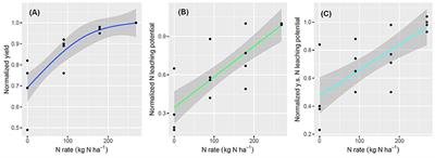 Linking Nitrogen Losses With Crop Productivity in Maize Agroecosystems